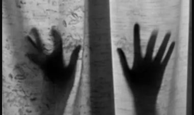 पत्नी ने पति से कराया पड़ोसन का रेप, वीडियो किया वायरल