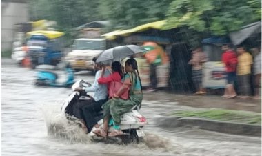 मप्र में फिर बन रहा बारिश का स्ट्रॉन्ग सिस्टम, आज 7 जिलों में तेज बारिश का अलर्ट