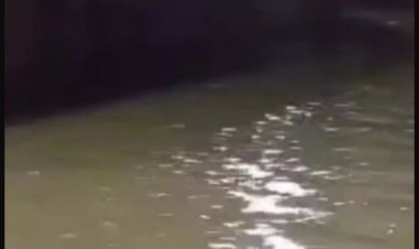 जयपुर में हुआ दिल्ली कोचिंग सेंटर जैसा हादसा, बेसमेंट में पानी भरने से 3 लोगों की हुई मौत