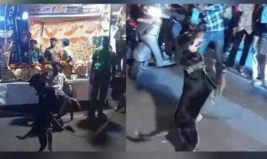 कांवड़ यात्रा के दौरान यूपी में भजन पर डांस करता दिखा कुत्ता; वीडियो हुआ वायरल