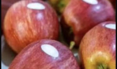 सेब पर लगे स्टिकर का क्या होता है मतलब?
