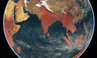 ऑनलाईन दिव्य अपडेट; आज के प्रमुख समाचार: देश दुनिया और स्पोर्ट्स