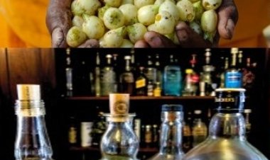 चार बोतल  हेरिटेज   मदिरा घर में रखने की मिल सकती है छूट