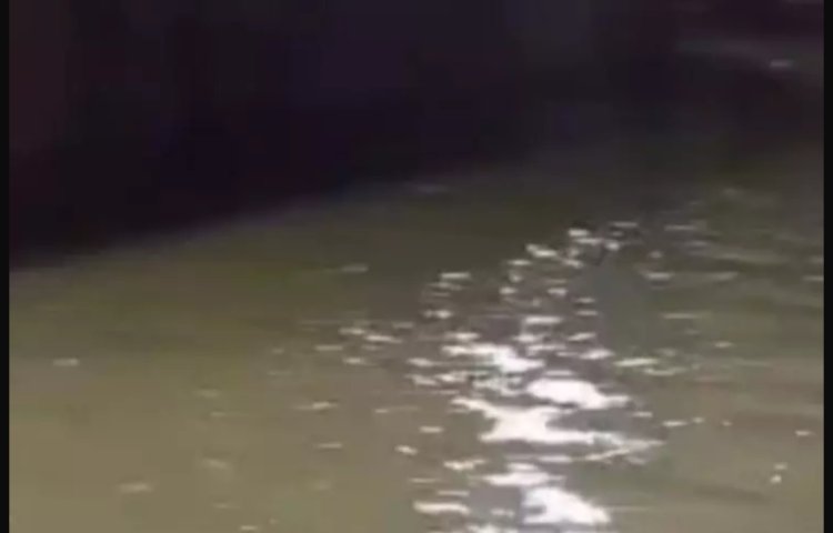 जयपुर में हुआ दिल्ली कोचिंग सेंटर जैसा हादसा, बेसमेंट में पानी भरने से 3 लोगों की हुई मौत