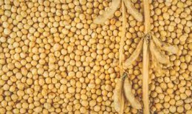 एमएसपी छह हजार रूपए नहीं तो करेंगे आंदोलन